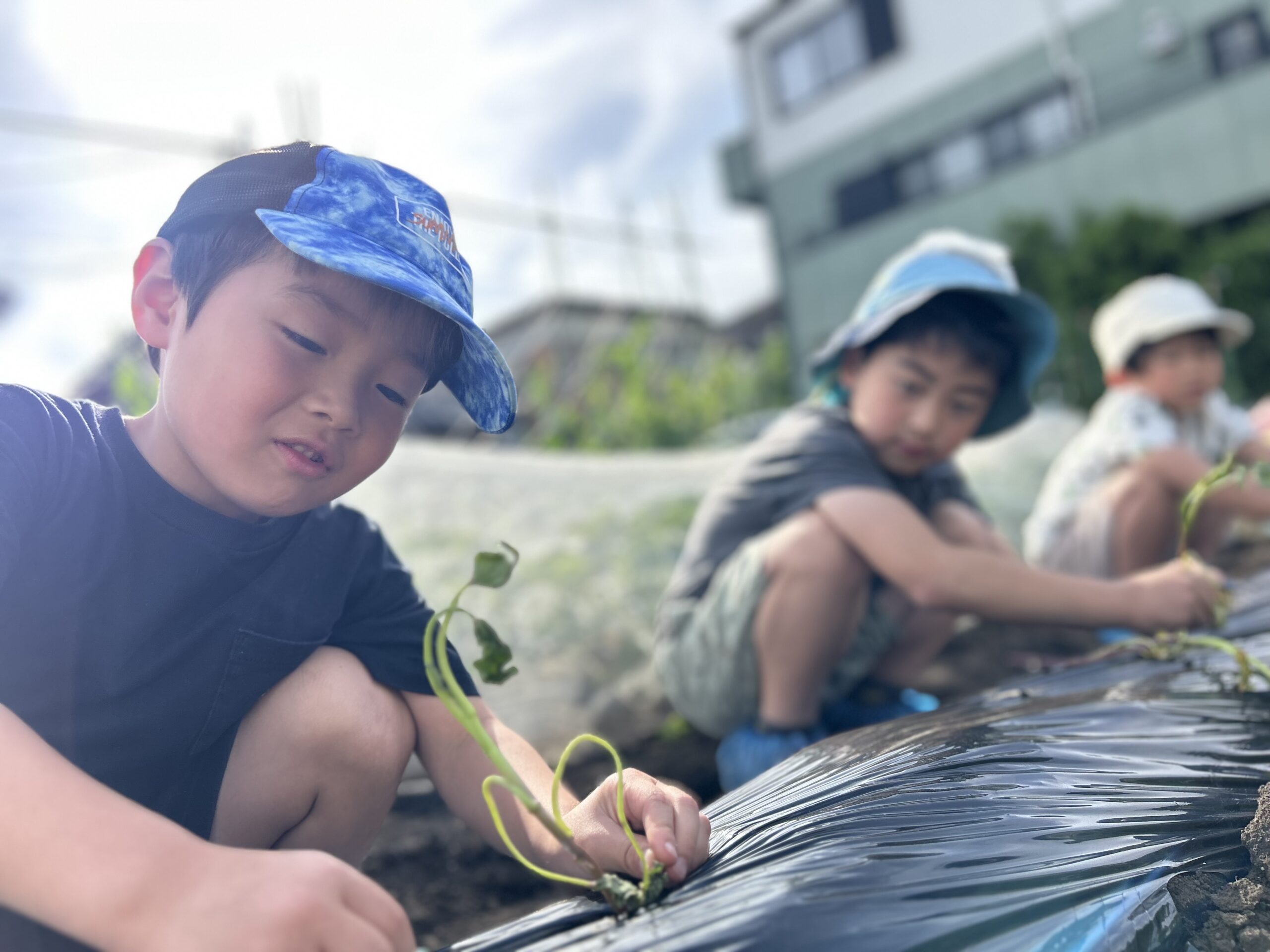 児童保育概要写真１