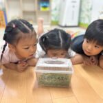 小学生から生きた教材のプレゼント