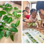 はらぺこあおむしくん発見★