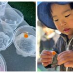 本日氷点下！氷を作ってみよう☆