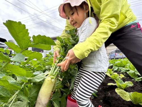 400783826_341613628517166_5715806885539564211_n